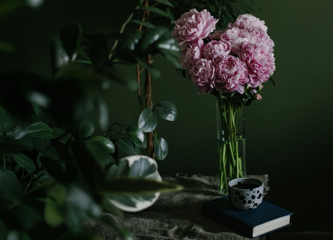 🌷 Frühlingsblumen für dein Zuhause und dein inneres Gleichgewicht