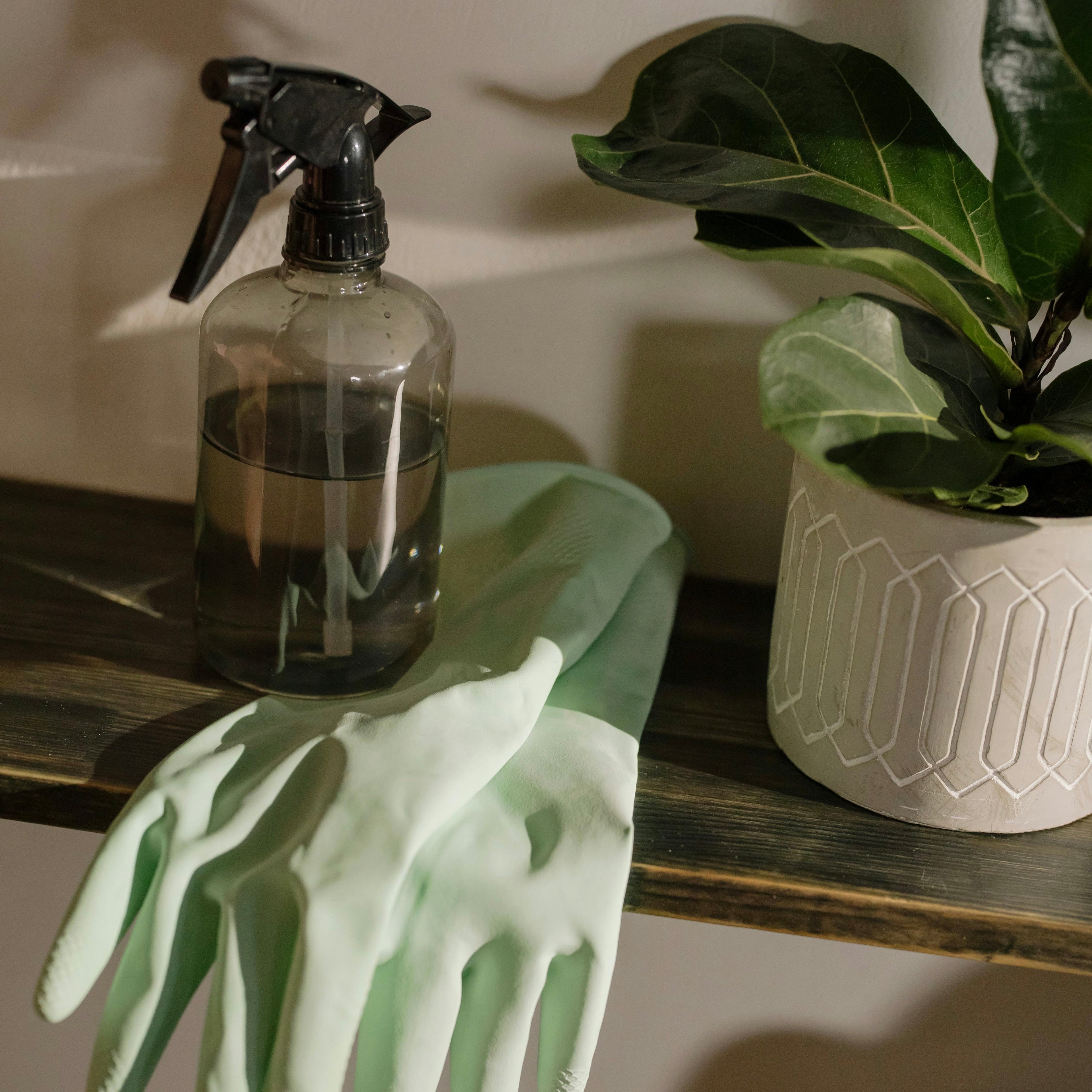 🧽 Frühjahrsputz ohne Stress – so wird’s mit System und guter Laune