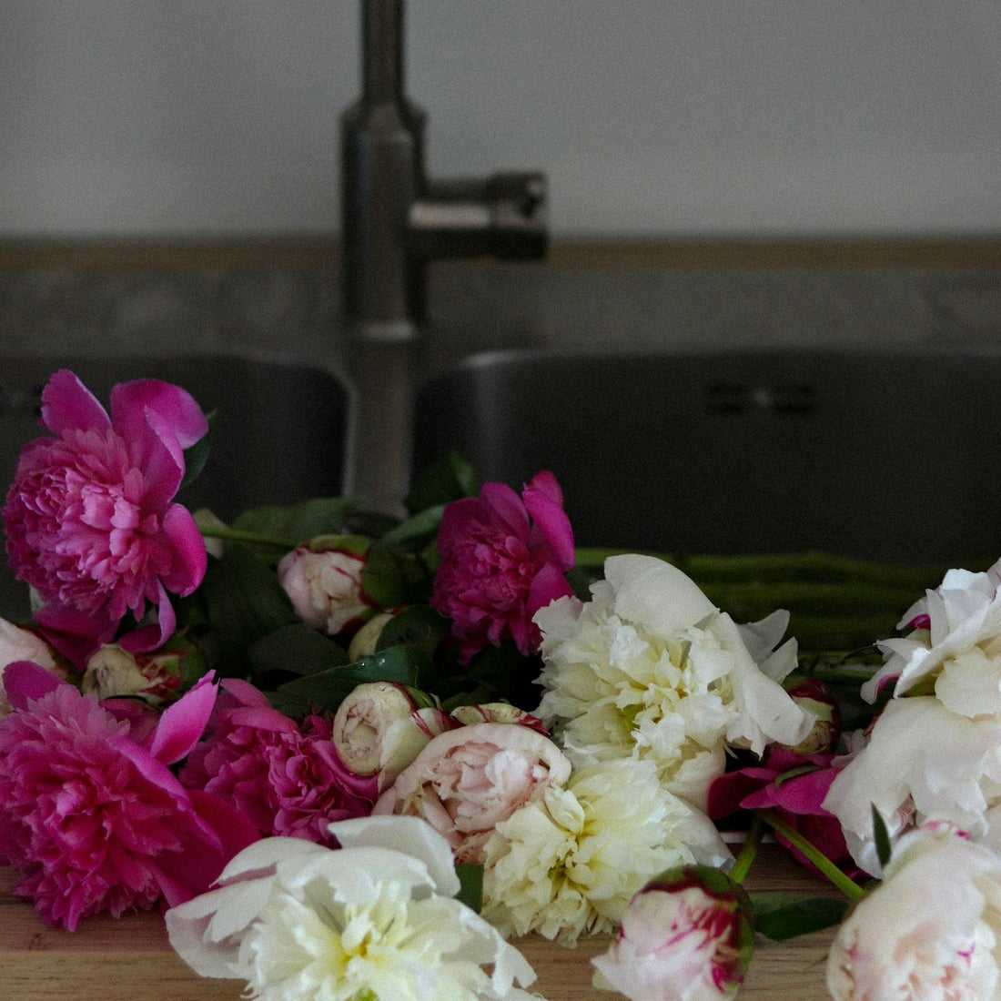 🌷 Frühlingsblumen für dein Zuhause – und dein inneres Gleichgewicht